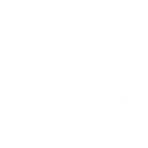 BIDI WHITE LOGO
